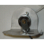 Divorced Choke Thermostat - Mopar, Carter 2bbl / Holley 2bbl 4